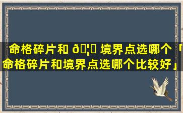 命格碎片和 🦄 境界点选哪个「命格碎片和境界点选哪个比较好」